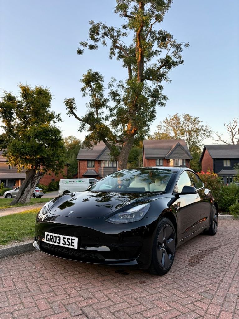 2021 Tesla Model 3 Standard Range Plus (RWD)