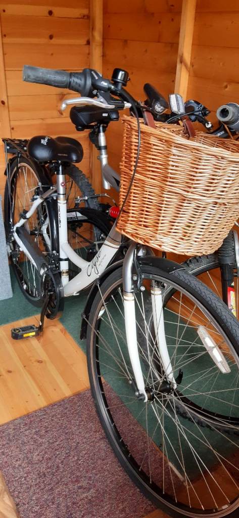 New Ladies Bike