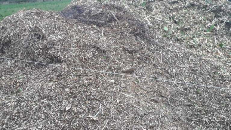 Woodchip Mulch 