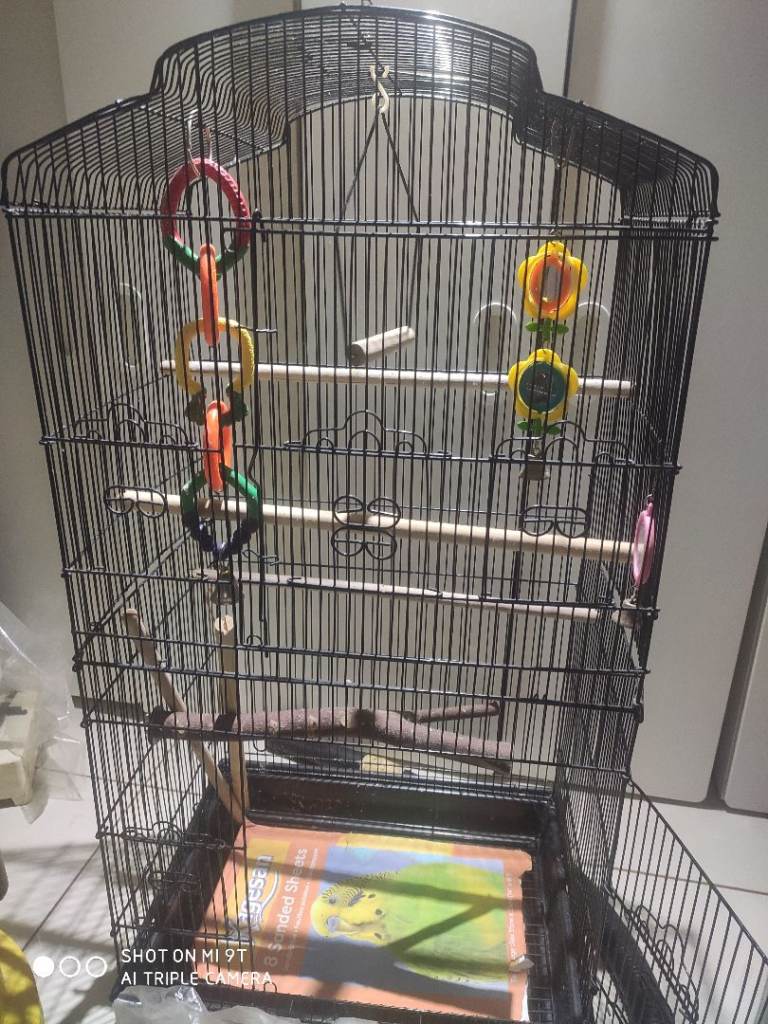 Large bird cage