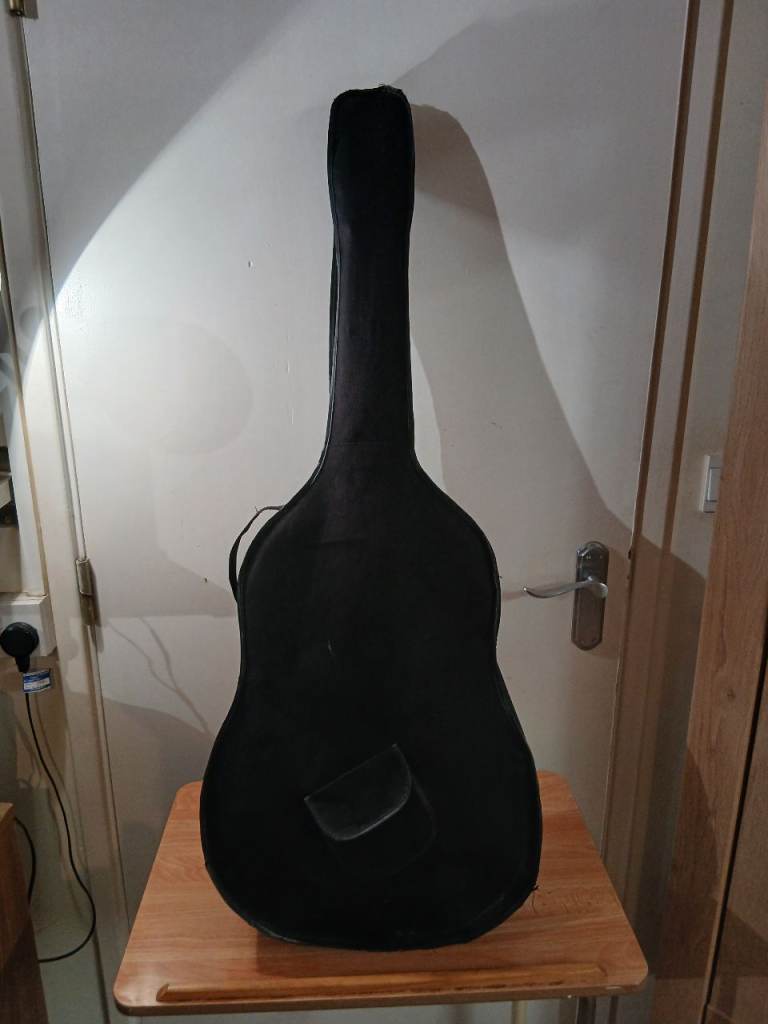 Hohner classical guitar with soft case 
