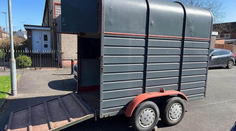 Horse box trailer 