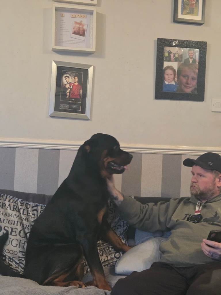 Ruby seeking new home 