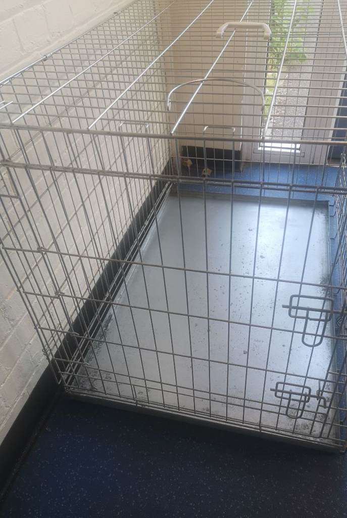 Large Dog Crate 