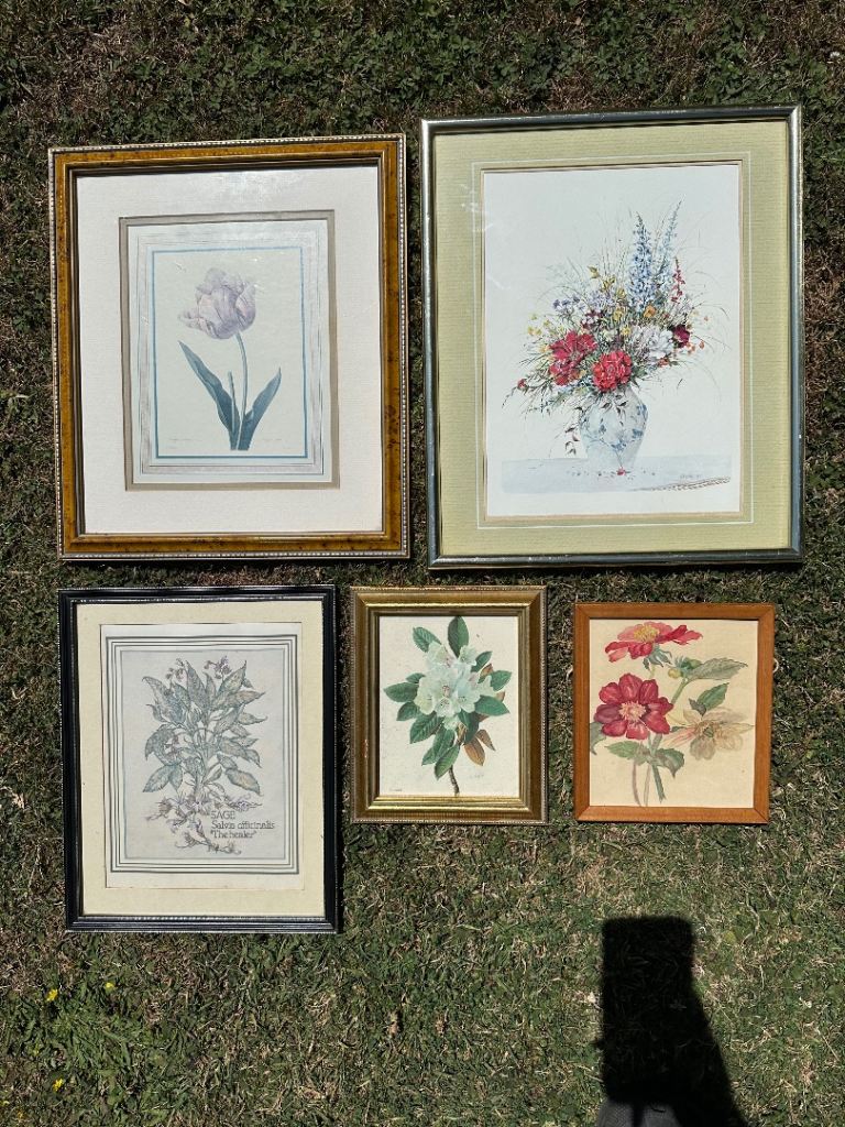 Set of 5 Framed Floral Botanical Prints - Various Sizes
