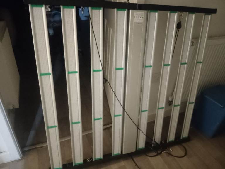 Philizon 1000W 8 Bar LED Grow Light