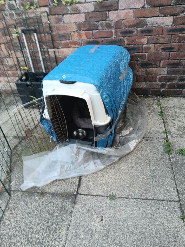 Dog kennel 