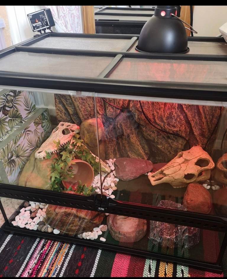 Vivarium