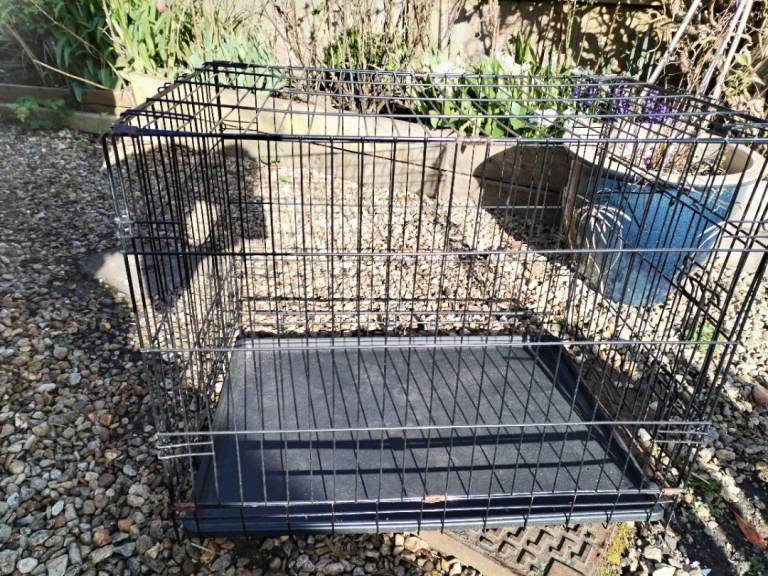 Free dog crate