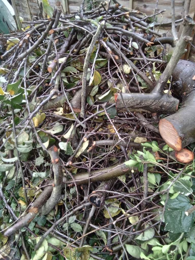 KINDLING AND WOOD FOR WOODBURNING STOVE FREE!!!