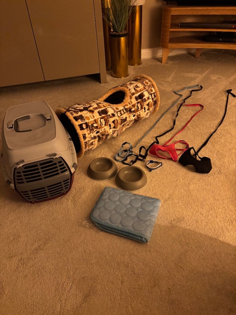 Job lot of Kitten Accessories