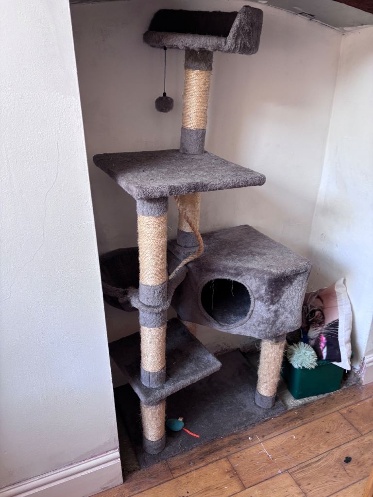 Free Cat tower and water fountains