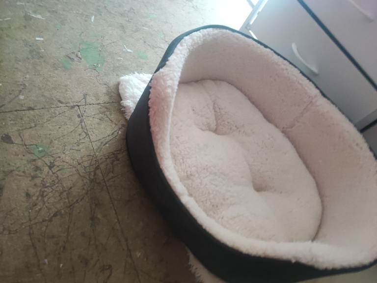 Pets at home dog bed