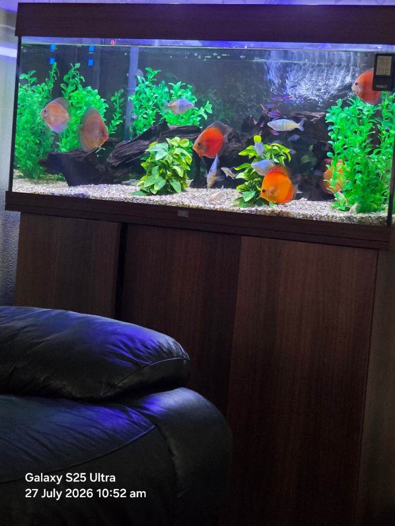 Large Aquarium with Cabinet Stand – Good Condition