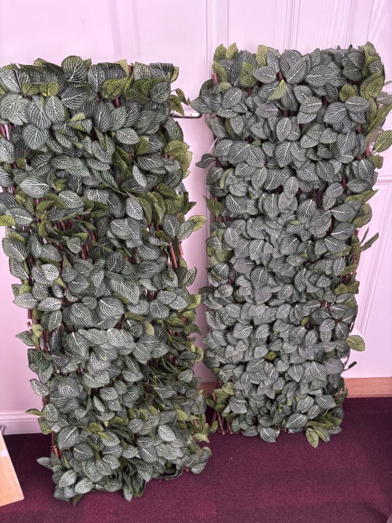 Expandable trellis panels 