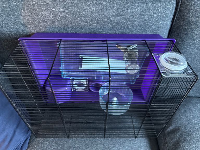 Hamster cage