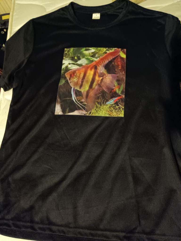 T shirt with angel fish design