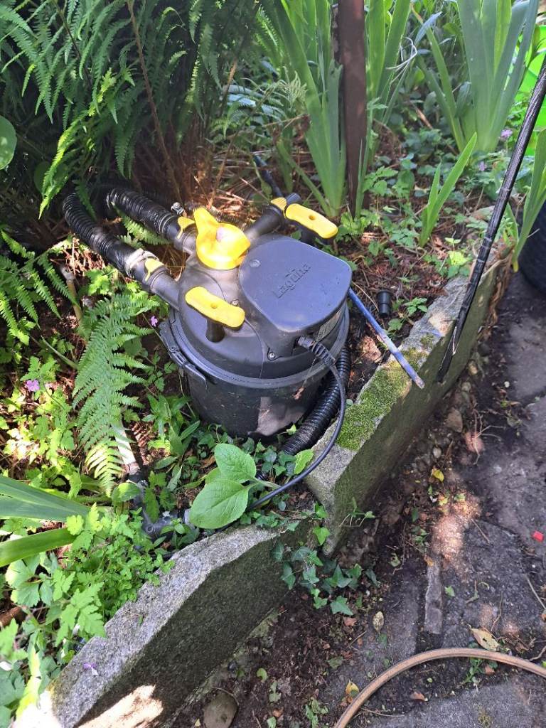 Pond Filter System – with 4 koi carp
