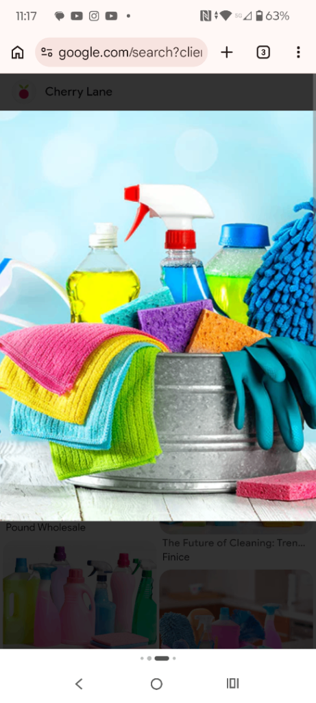 Cleaning & Property Services 