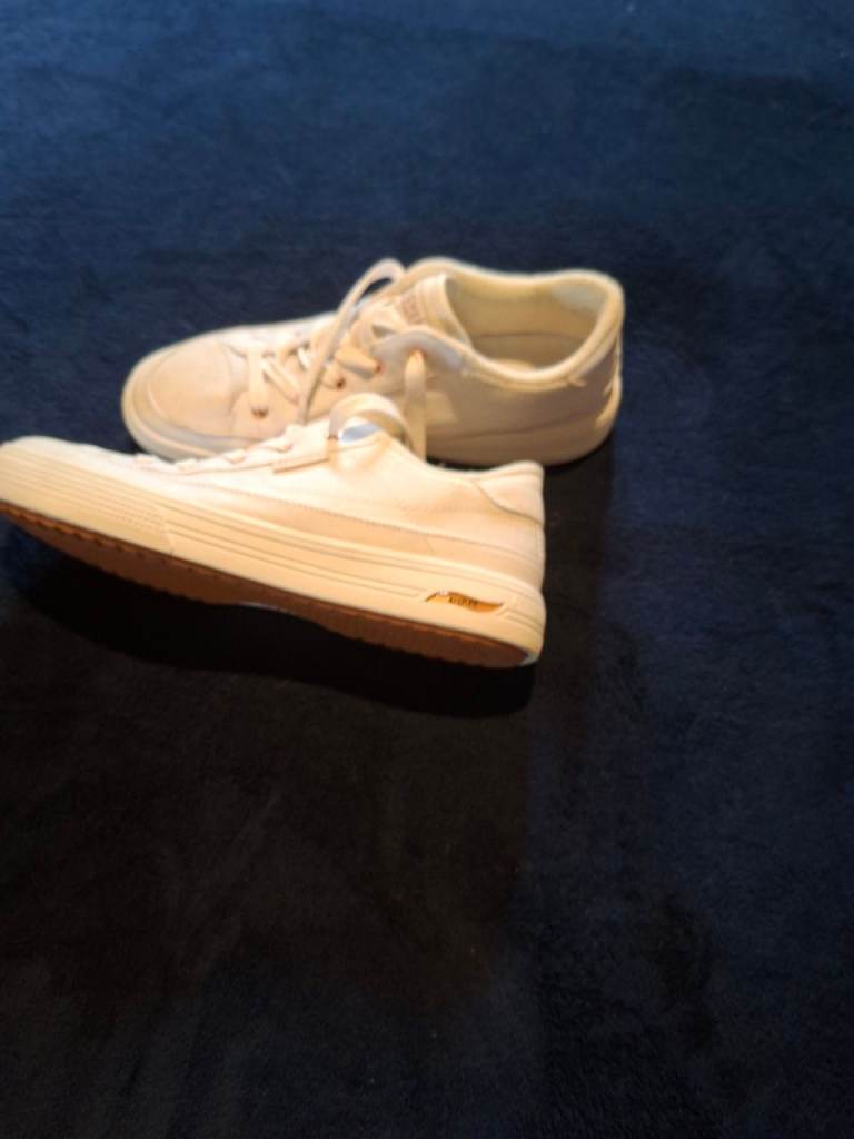 Skechers Trainers