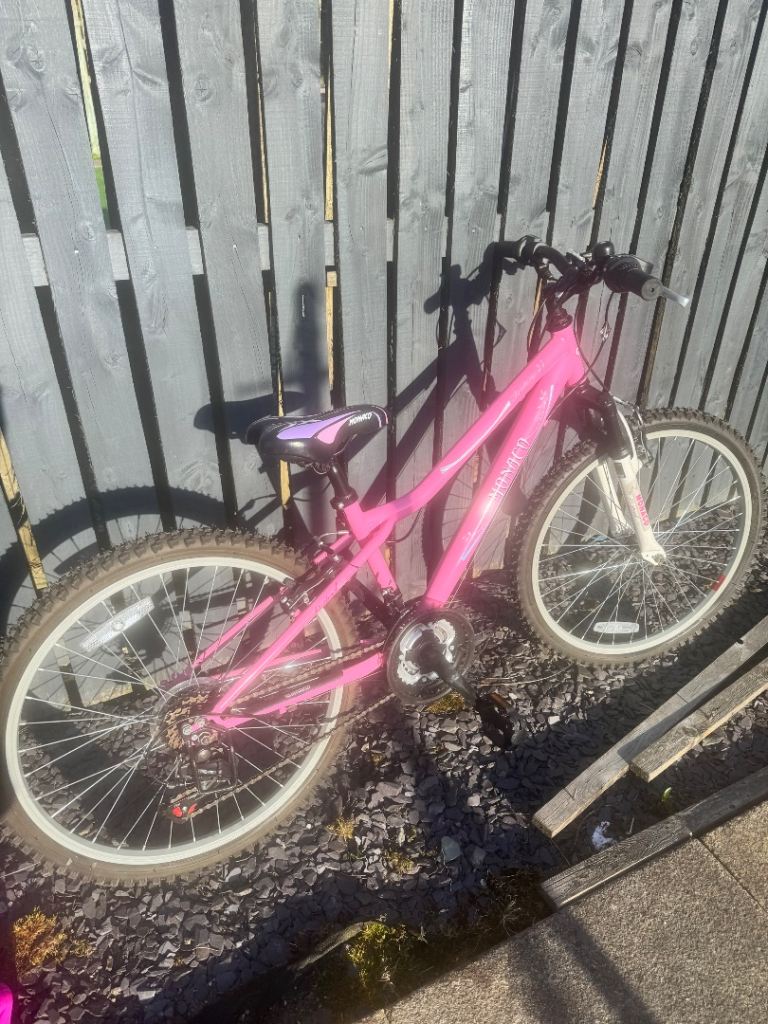 Girls mountain bike 24inch