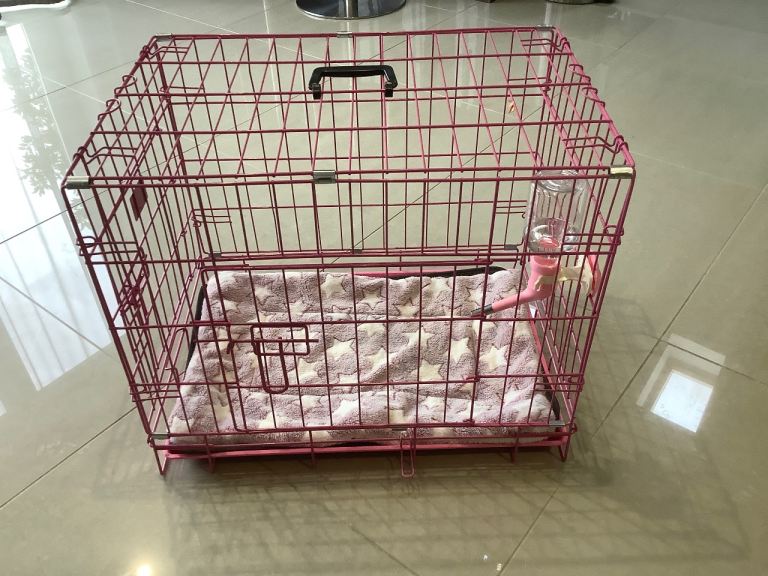 Dog cages 
