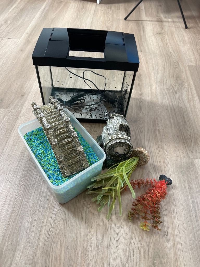 Aquarium and accessories 