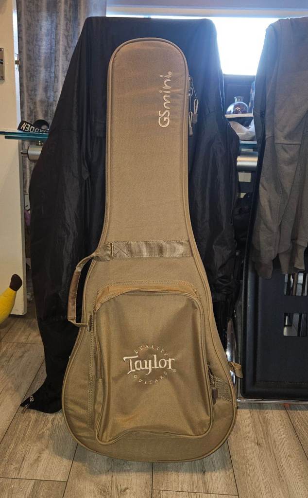 GS mini guitar case.  Taylor Gig bag