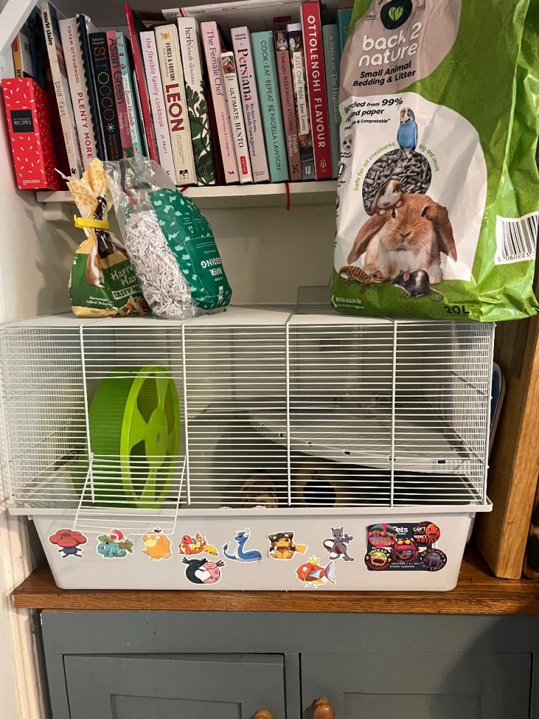 Hamster cage and accessories 