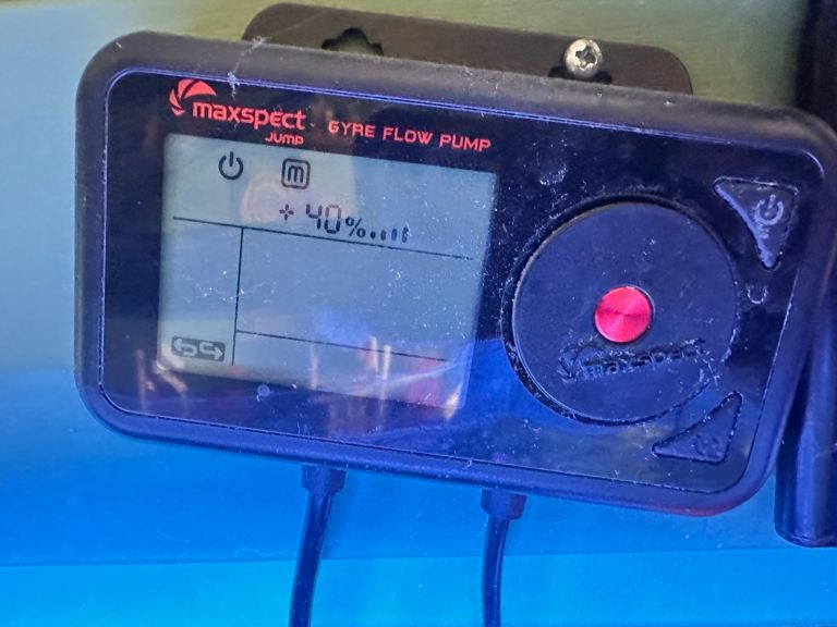 Established reef tank 