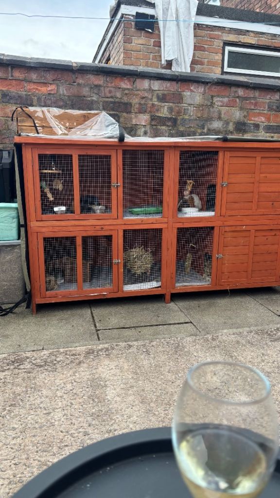 Bluebell pets at home hutch 