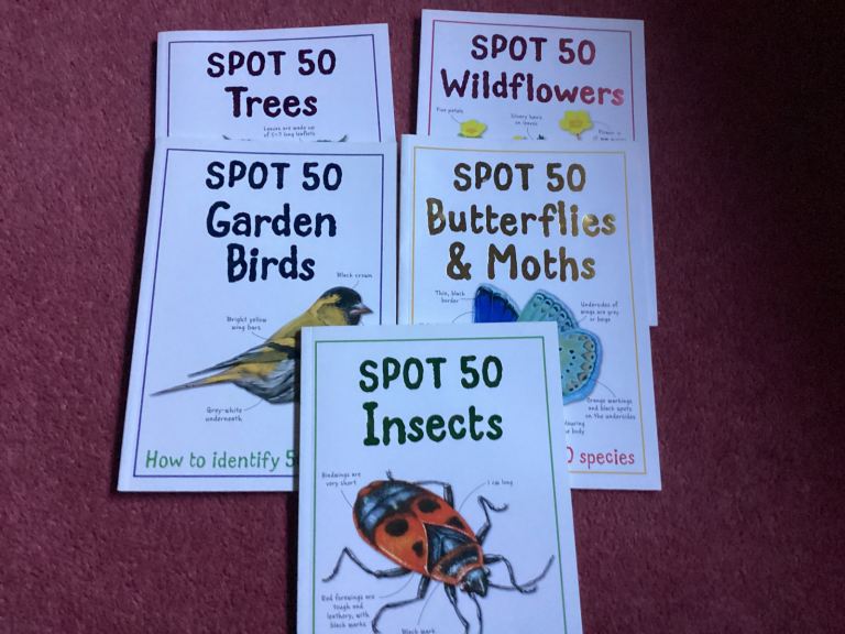 image for Educational learning books