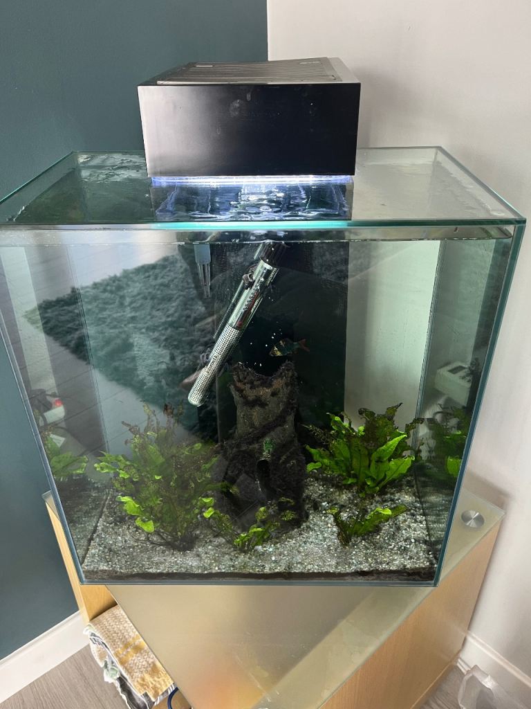 Fluval 46L Tropical Fish Tank