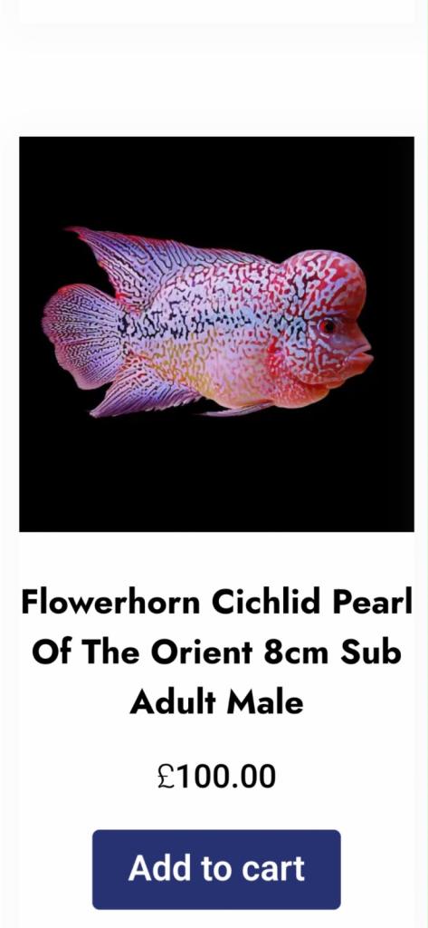 Flower horn pearl sub