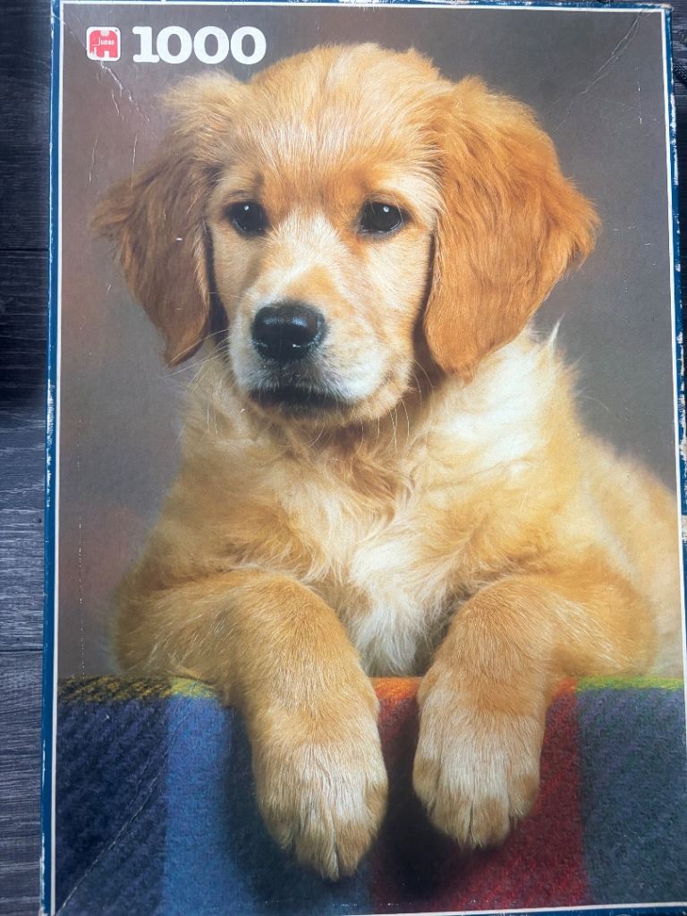 Golden Retriever Puppy 1000 Piece Jigsaw Puzzle