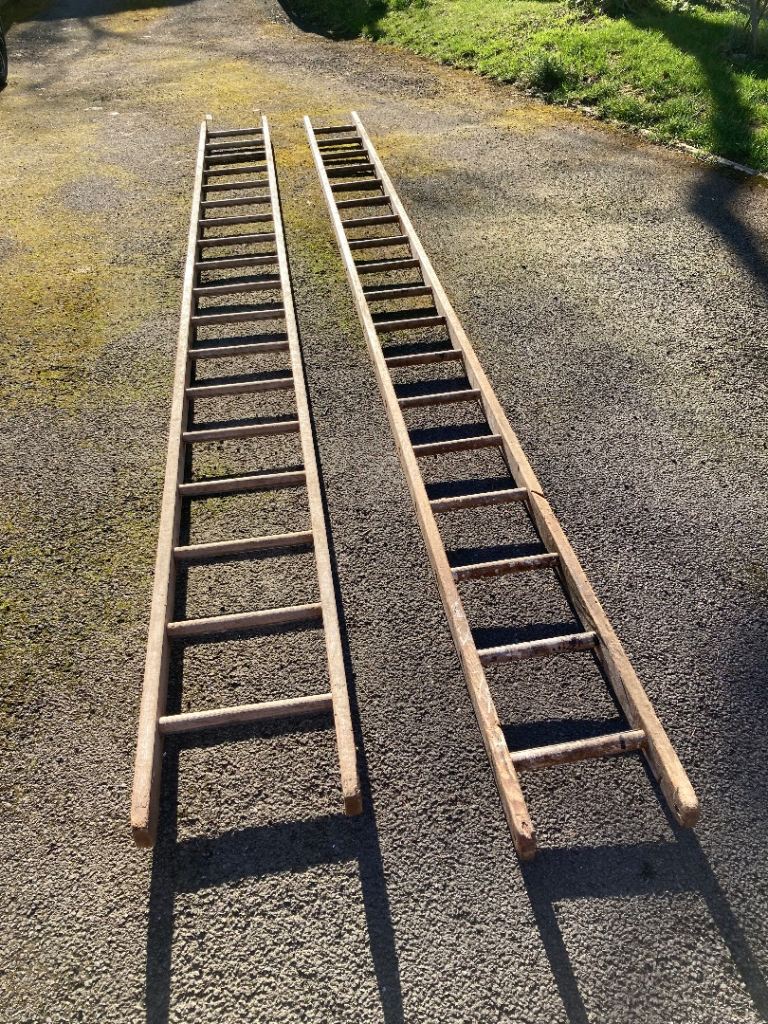 Two ladders