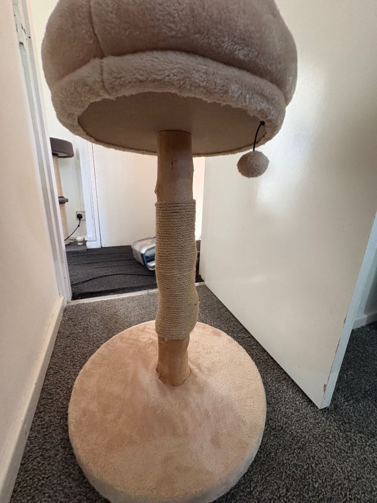 Cat wooden post with bed