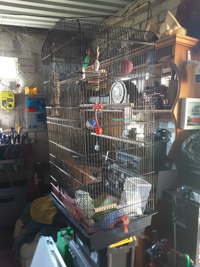 Large Cockateil Cage