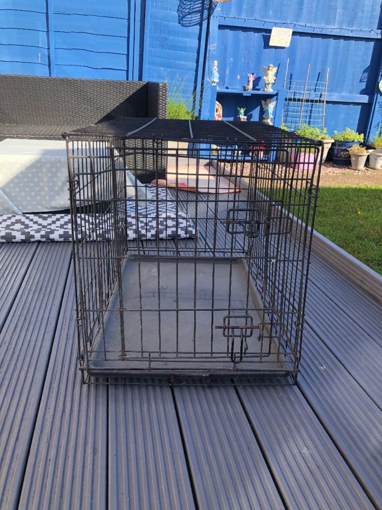 Medium animal carrier/crate