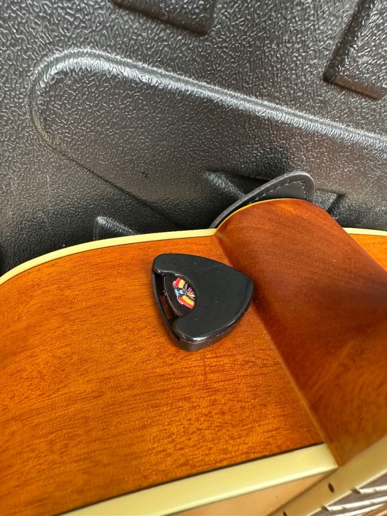 Ashton D25/12NTM 12-String Acoustic Guitar