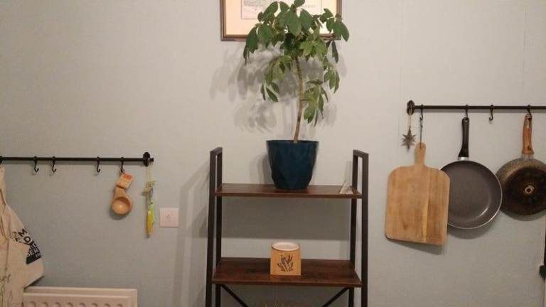 3 Bedroom Apartment available July 26'