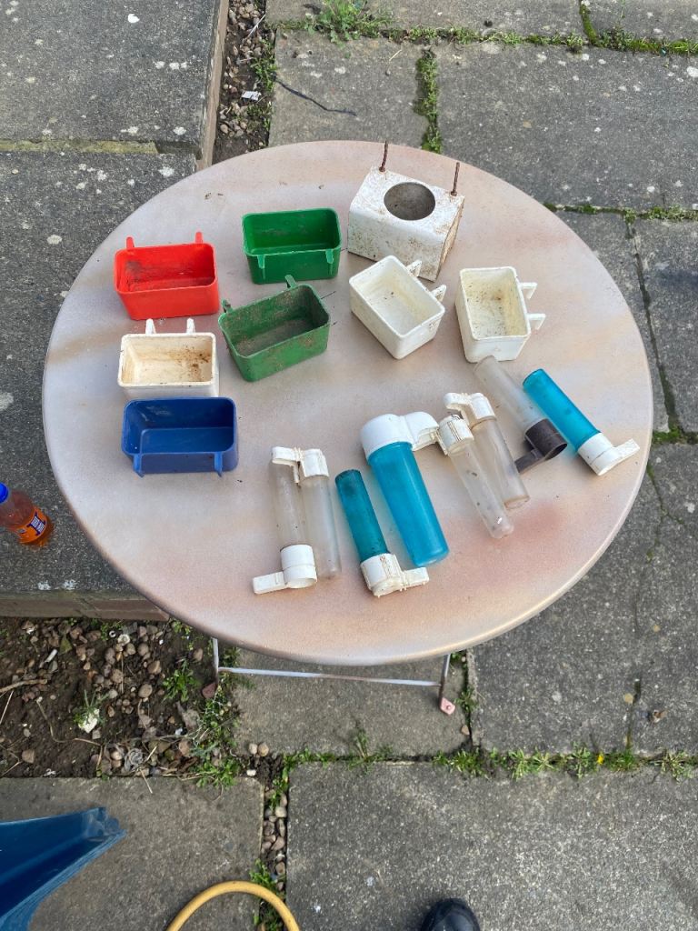 Quick sale whole lot of bird feeders and water dispenser for sale 23