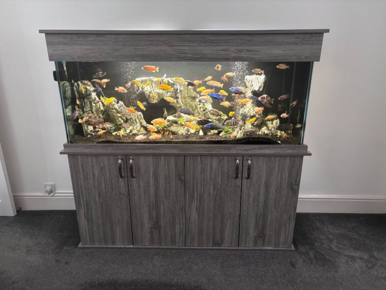 Large Fish Tank with Cabinet and Filter – Good Condition