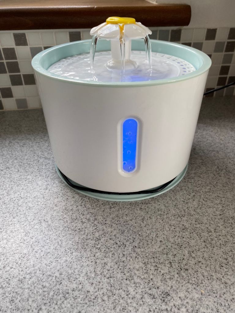Cat drinking water fountain 
