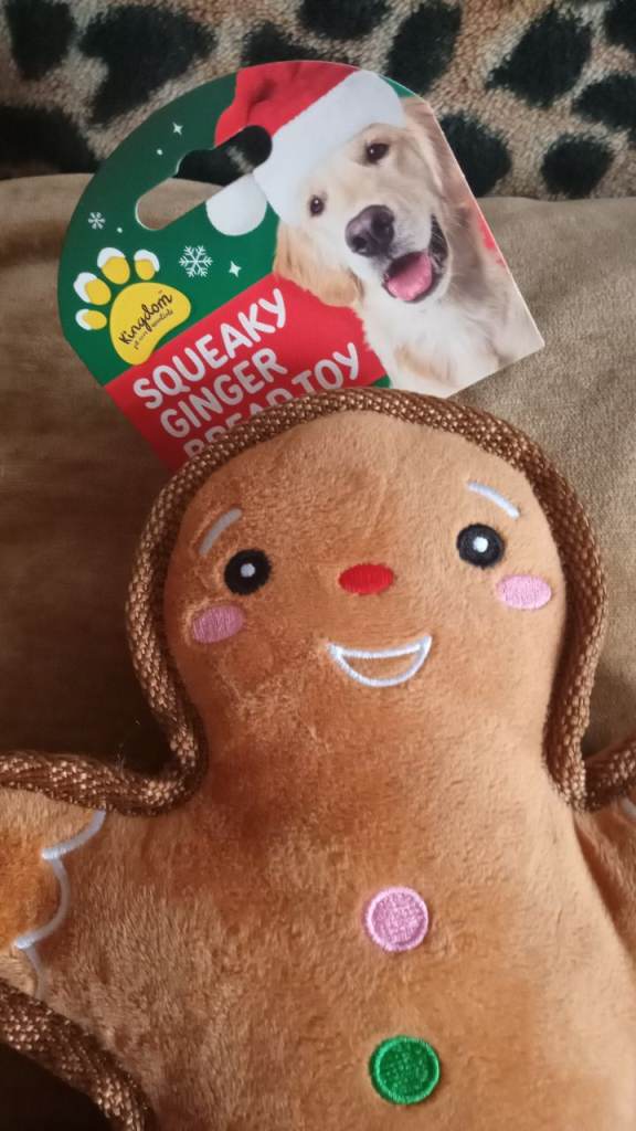 Dog toy plush ginger bread man new £3