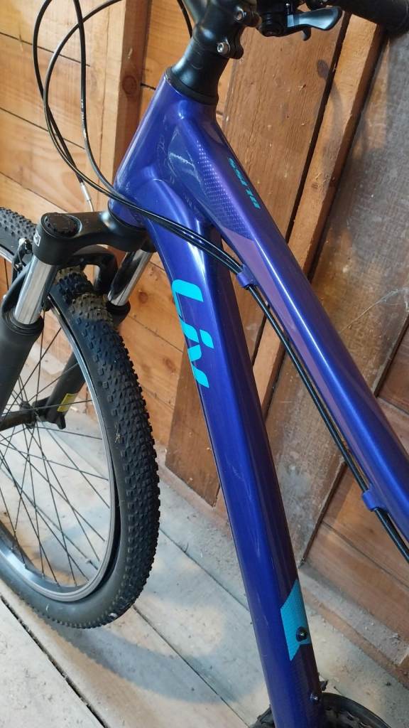 2020 Liv Bliss 3 Disc Hardtail Mountain Bike - Purple 
