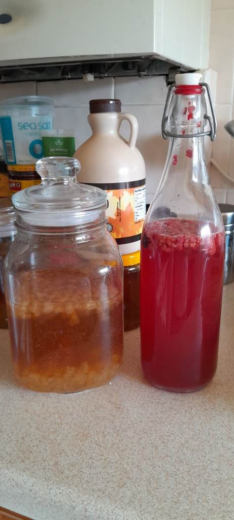 Water Kefir Grains - Collection only