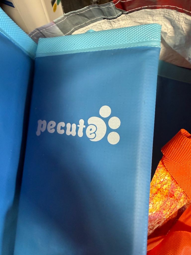 Dog paddling pool large