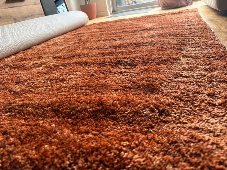 Kallie washable shaggy rug