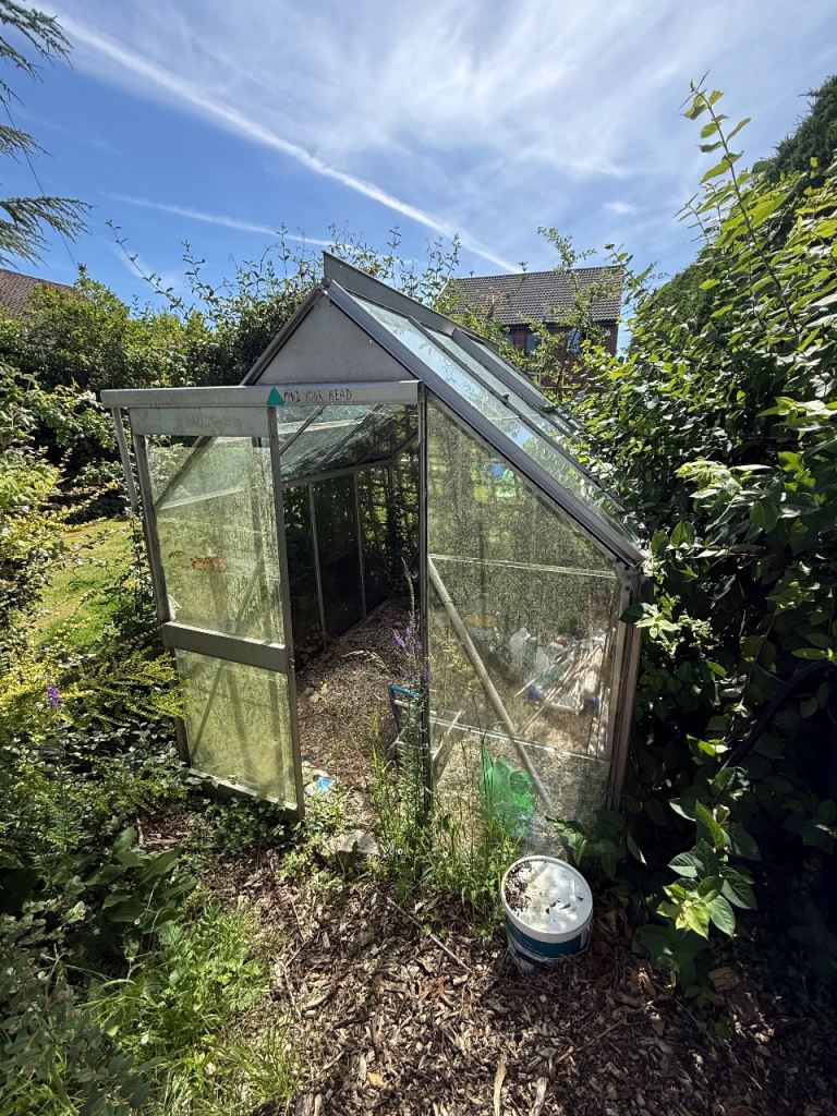 Greenhouse - Free to collector